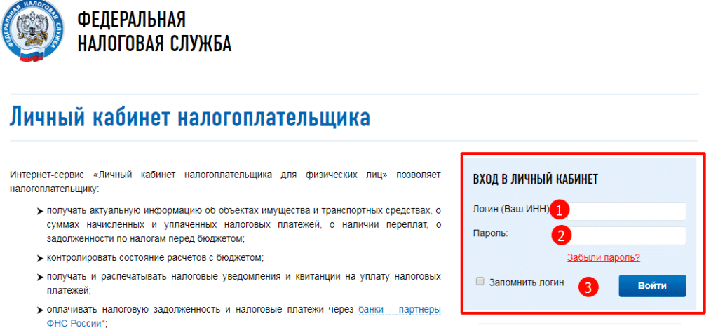 Форма входа в ЛК ФНС